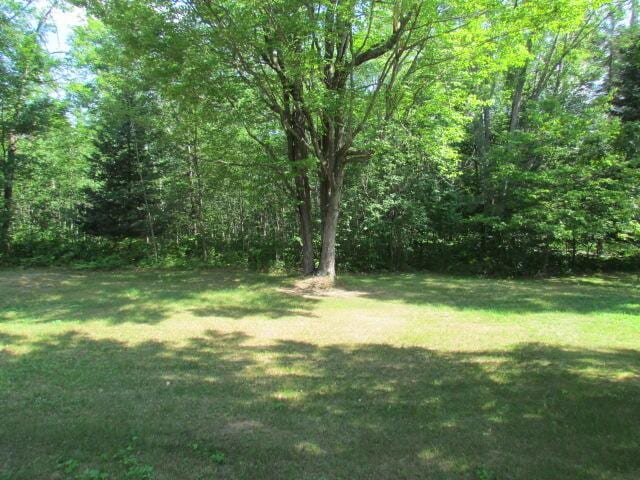 15520 Greasy Creek Rd, Atlanta, MI 49709 - photo 45