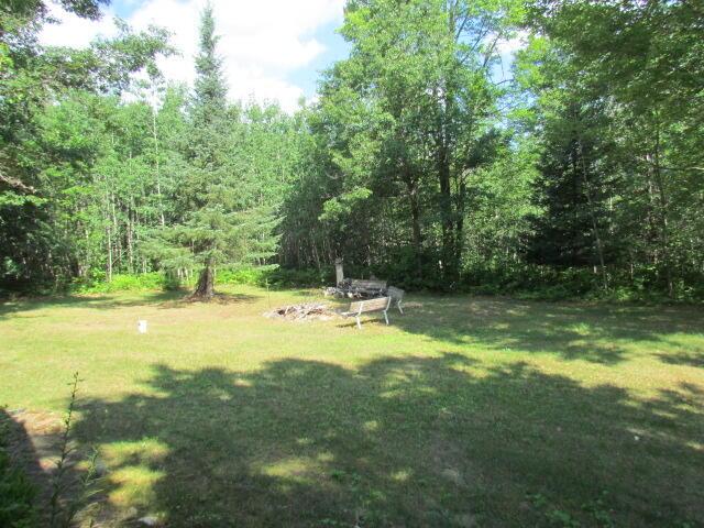 15520 Greasy Creek Rd, Atlanta, MI 49709 - photo 47