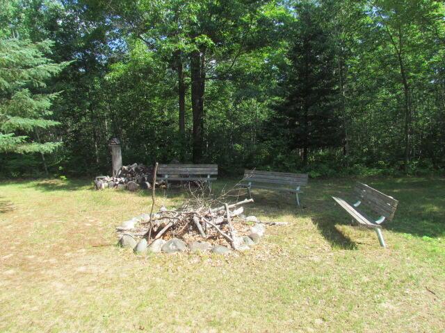 15520 Greasy Creek Rd, Atlanta, MI 49709 - photo 49