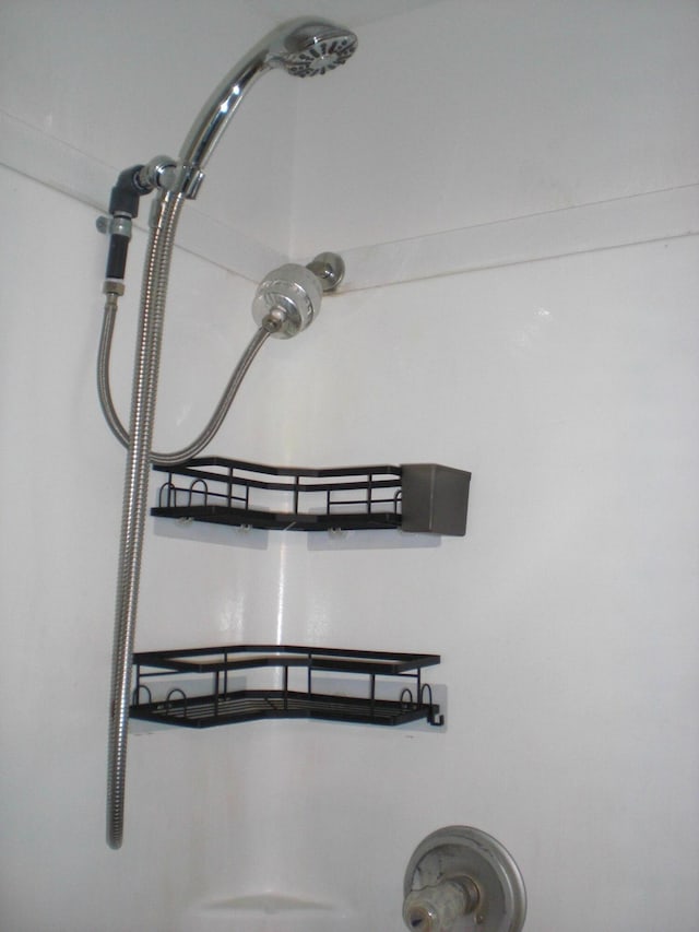 557 Davis St, Lake, MI 48632 - bathroom view of a shower