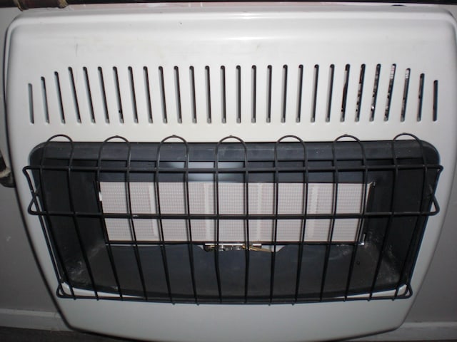 557 Davis St, Lake, MI 48632 - detailed view of heating unit