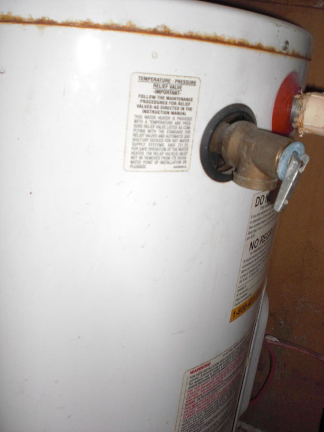 557 Davis St, Lake, MI 48632 - detailed view of gas water heater