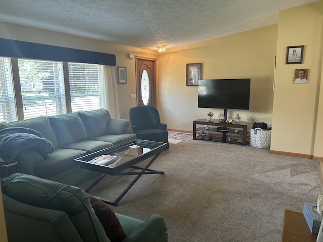 362 N Addison St, Alpena, MI 49707 - carpeted living area with a textured ceiling and baseboards