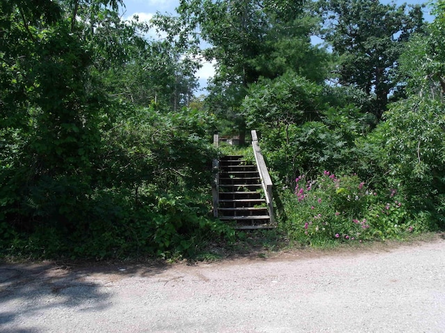 1419 N Straits Hwy, Topinabee, MI 49791 - photo 33