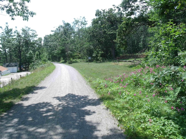 1419 N Straits Hwy, Topinabee, MI 49791 - photo 36