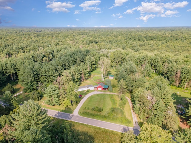 500 N Leaton Rd, Mount Pleasant, MI 48858 - photo 12