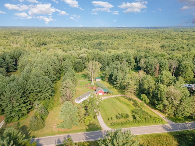 500 N Leaton Rd, Mount Pleasant, MI 48858 - photo 13