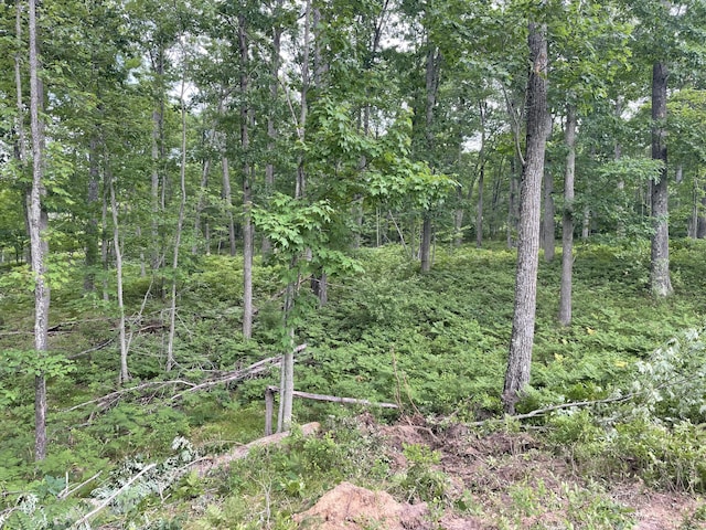 10ACRES School Rd, Roscommon, MI 48653