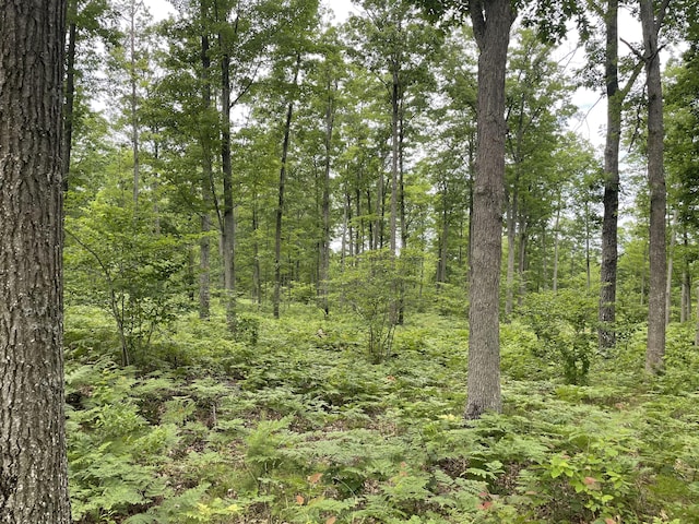 10ACRES School Rd, Roscommon, MI 48653