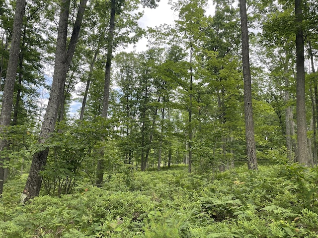 10ACRES School Rd, Roscommon, MI 48653