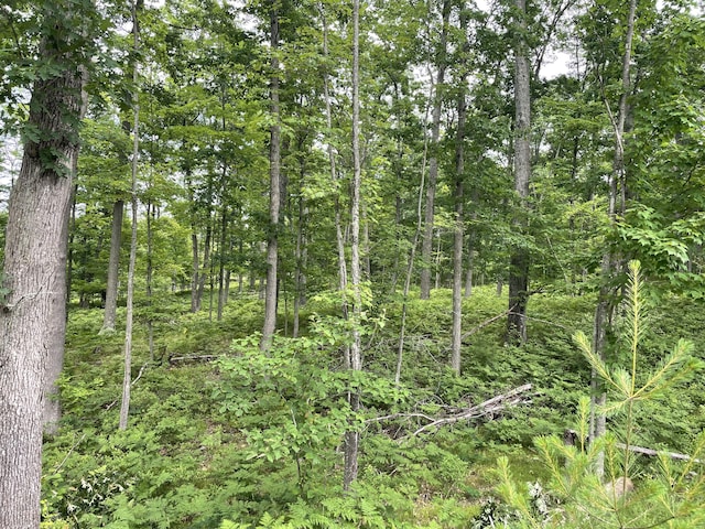 10ACRES School Rd, Roscommon, MI 48653