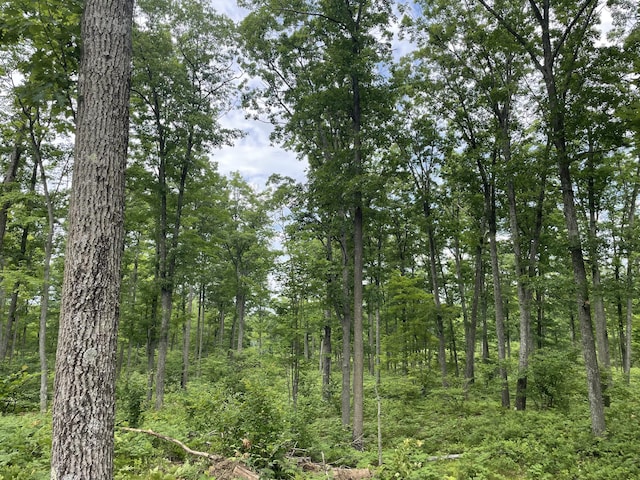 10ACRES School Rd, Roscommon, MI 48653