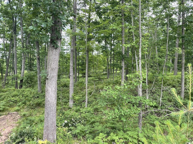 10ACRES School Rd, Roscommon, MI 48653 - photo 1