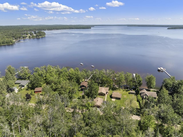 9470 Silver Strand Rd, Levering, MI 49755 - photo 30