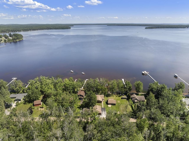 9470 Silver Strand Rd, Levering, MI 49755 - photo 31