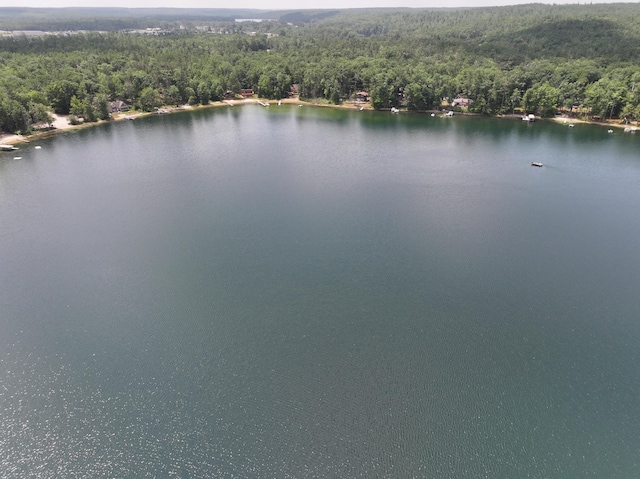 1268 E Heart Lake Dr, Gaylord, MI 49735 - photo 22