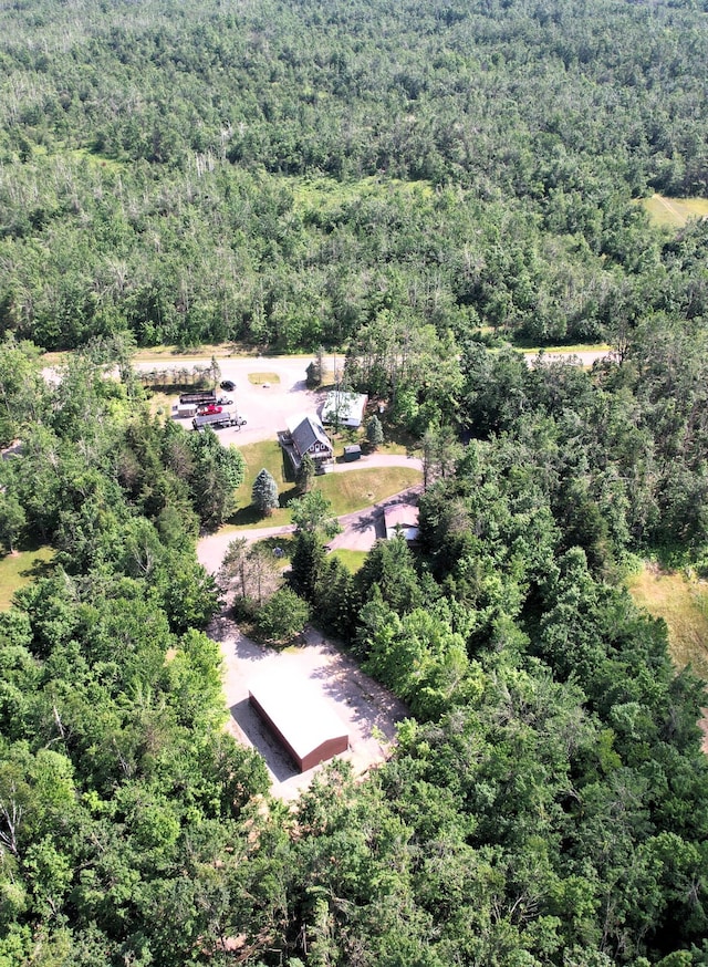 6876 Old Alba Rd, Gaylord, MI 49735 - photo 43