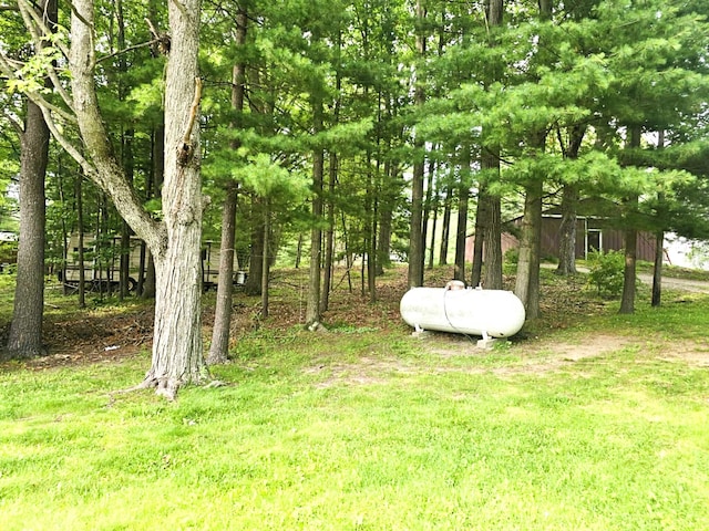 600 Bushong Beach Dr, Gladwin, MI 48624 - photo 11