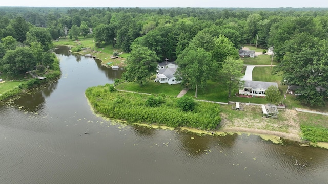 600 Bushong Beach Dr, Gladwin, MI 48624 - photo 45