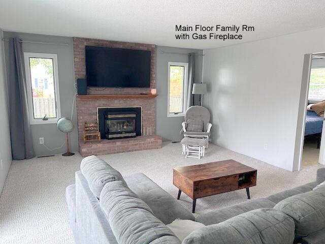 229 Helen St, Alpena, MI 49707 - photo 4