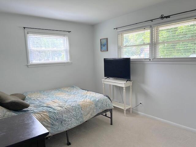 229 Helen St, Alpena, MI 49707 - photo 12