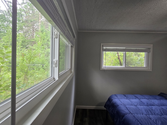 1300 Geesey Ave, Mio, MI 48647 - bedroom featuring a textured ceiling, ornamental molding, and wood finished floors