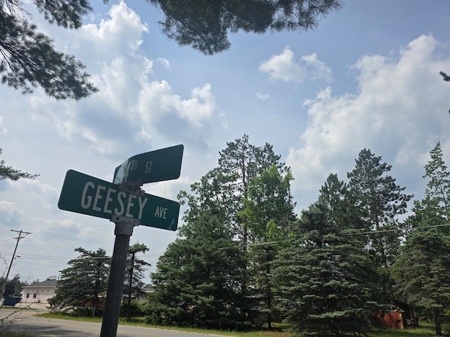 1300 Geesey Ave, Mio, MI 48647 - exterior view