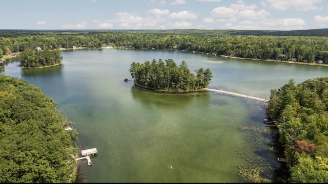 7249 Arrowroot Trl, Gaylord, MI 49735 - photo 3