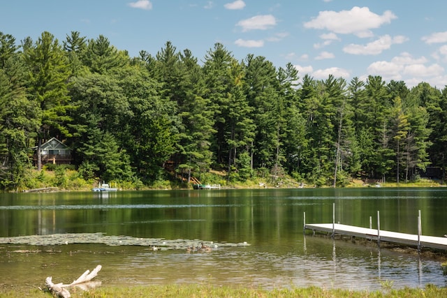 7249 Arrowroot Trl, Gaylord, MI 49735 - photo 49