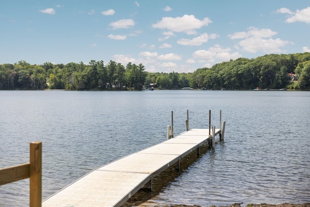 7249 Arrowroot Trl, Gaylord, MI 49735 - photo 50