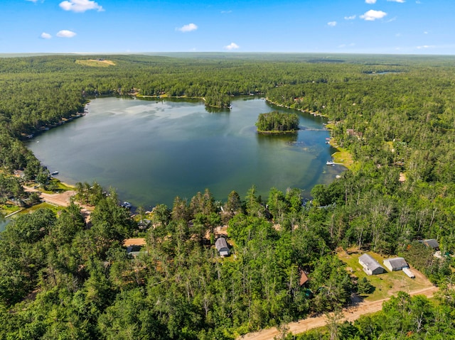 7249 Arrowroot Trl, Gaylord, MI 49735 - photo 63