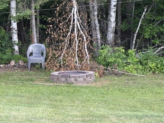21295 Hutchinson Hwy, Onaway, MI 49765 - photo 17