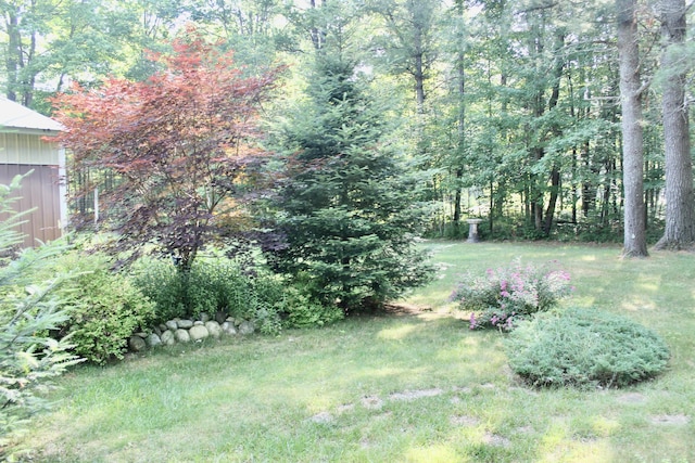 1557 S Ausable Trl, Grayling, MI 49738 - photo 27