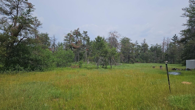 000 Witte Trl, Lovells, MI 49738 - photo 4