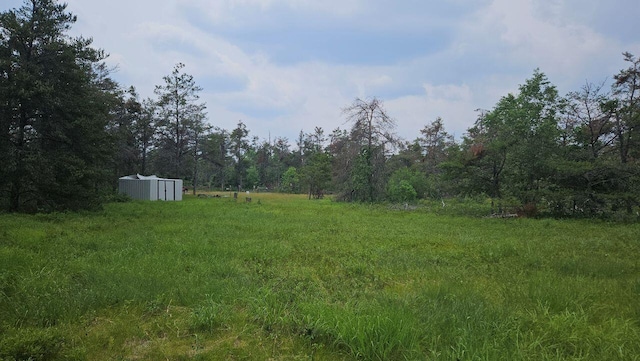 000 Witte Trl, Lovells, MI 49738 - photo 5