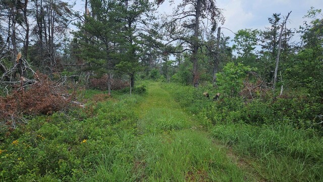 000 Witte Trl, Lovells, MI 49738 - photo 6