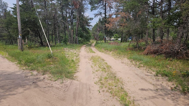 000 Witte Trl, Lovells, MI 49738 - photo 3