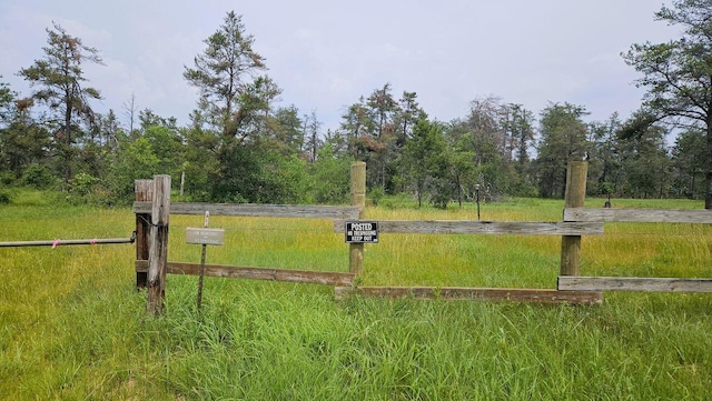 000 Witte Trl, Lovells, MI 49738 - photo 1