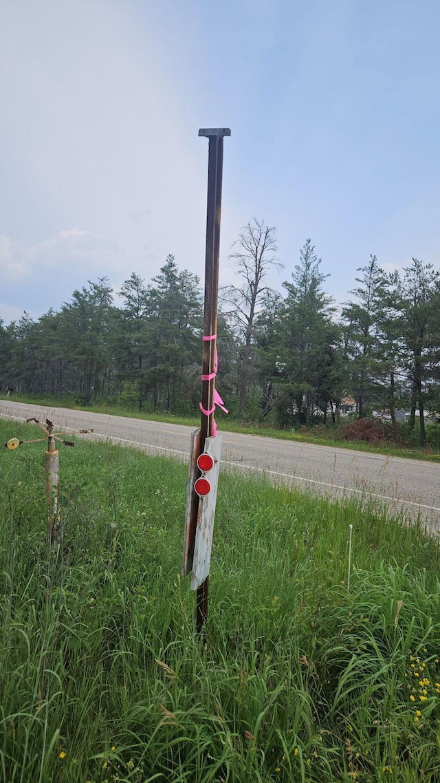 000 Witte Trl, Lovells, MI 49738 - photo 11
