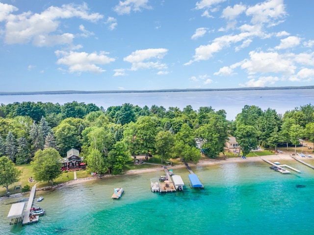 23 Treasure Is, Roscommon, MI 48653 - bird's eye view of a large body of water