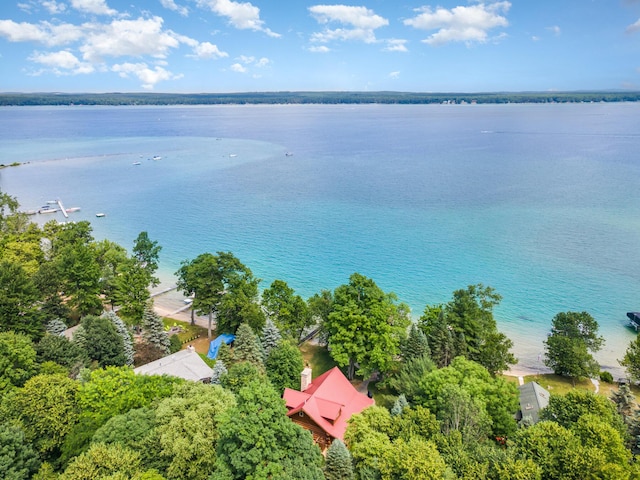 23 Treasure Is, Roscommon, MI 48653 - drone / aerial view of a large body of water
