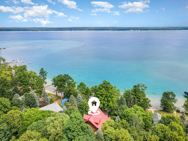 23 Treasure Is, Roscommon, MI 48653 - bird's eye view of a large body of water