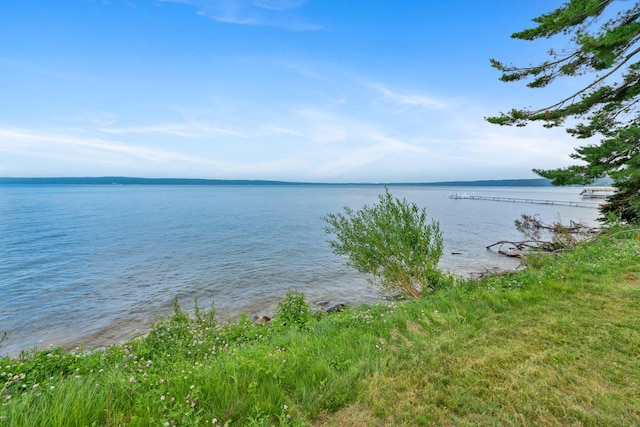3777 Fisher Trl, Alanson, MI 49706 - photo 9
