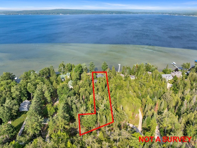 3777 Fisher Trl, Alanson, MI 49706 - photo 42