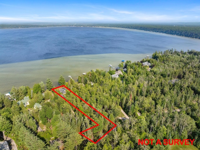 3777 Fisher Trl, Alanson, MI 49706 - photo 44