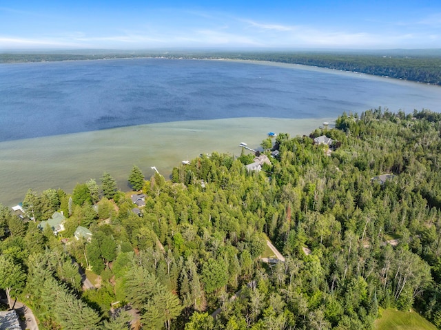 3777 Fisher Trl, Alanson, MI 49706 - photo 45