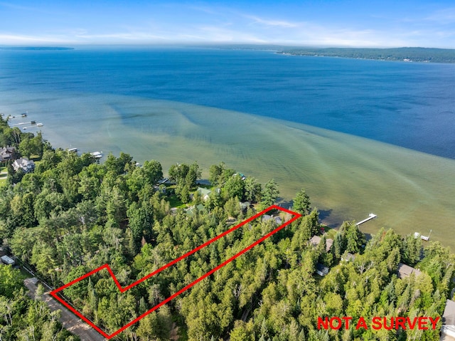 3777 Fisher Trl, Alanson, MI 49706 - photo 46