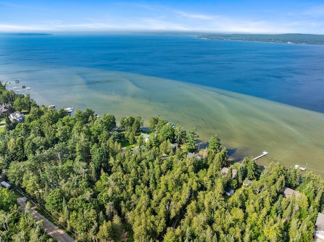3777 Fisher Trl, Alanson, MI 49706 - photo 47