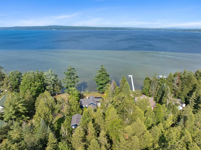 3777 Fisher Trl, Alanson, MI 49706 - photo 41