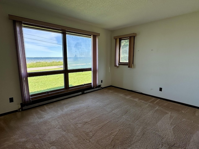 14515 Stoney Pointe Rd, Cheboygan, MI 49721 - photo 11
